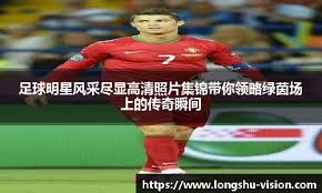 陈杰宪赛季打击分析