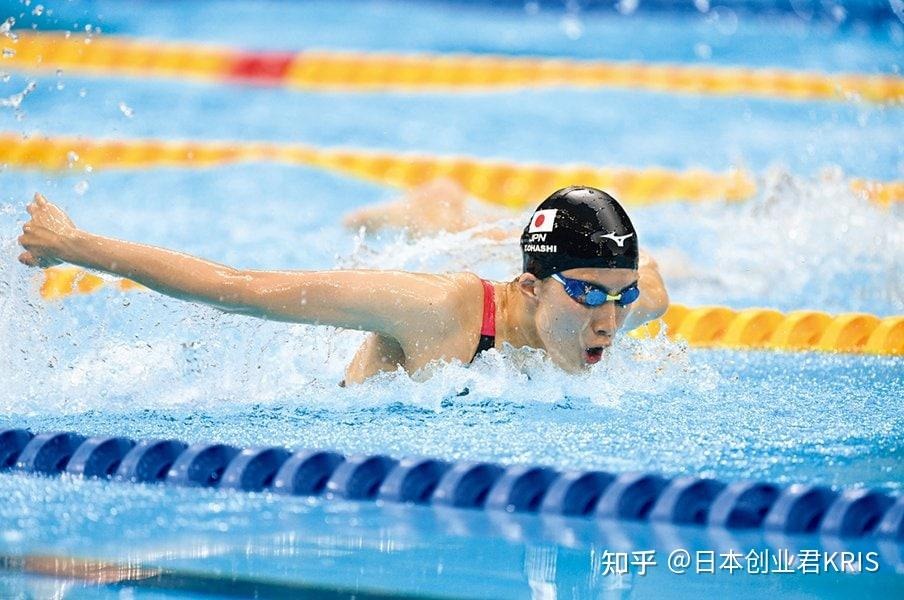 与数据分析