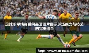 中超转会窗口动态频出